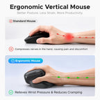 UGREEN Wireless Ergonomic Mouse, Rechargeable Bluetooth &USB Computer Mouse